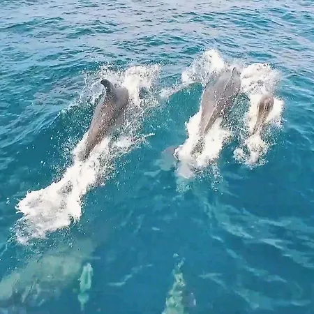 アパート Salgados By Algarve Vacation *